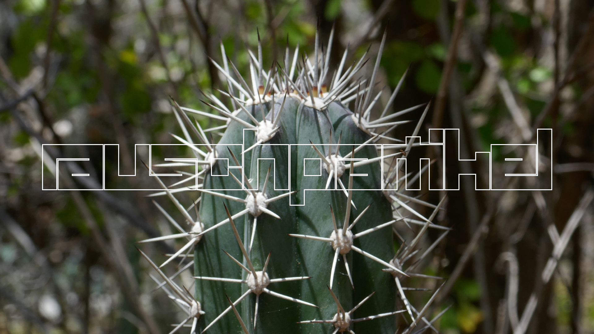 2022-04-22 Blaue Kammer (Foto)