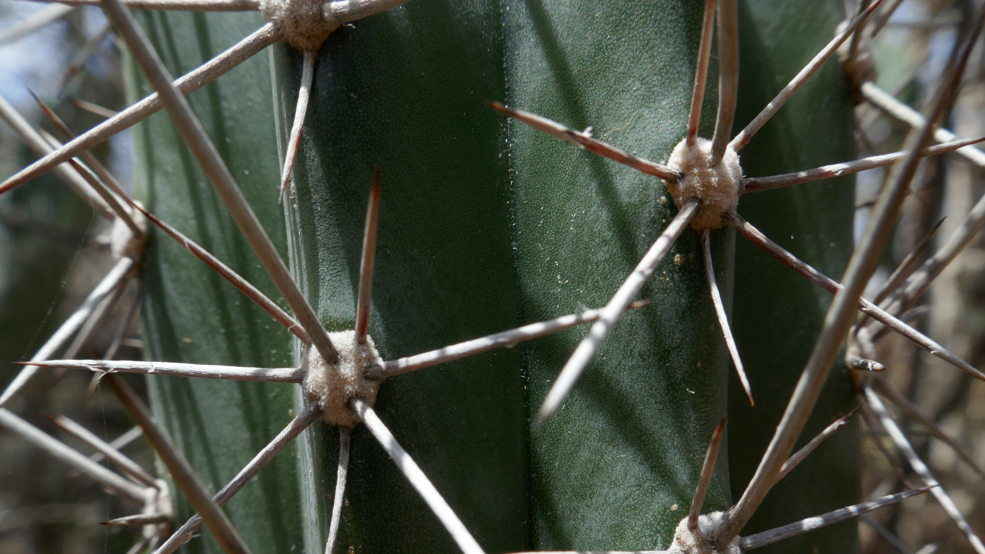 2022-04-22 Blaue Kammer (Foto)