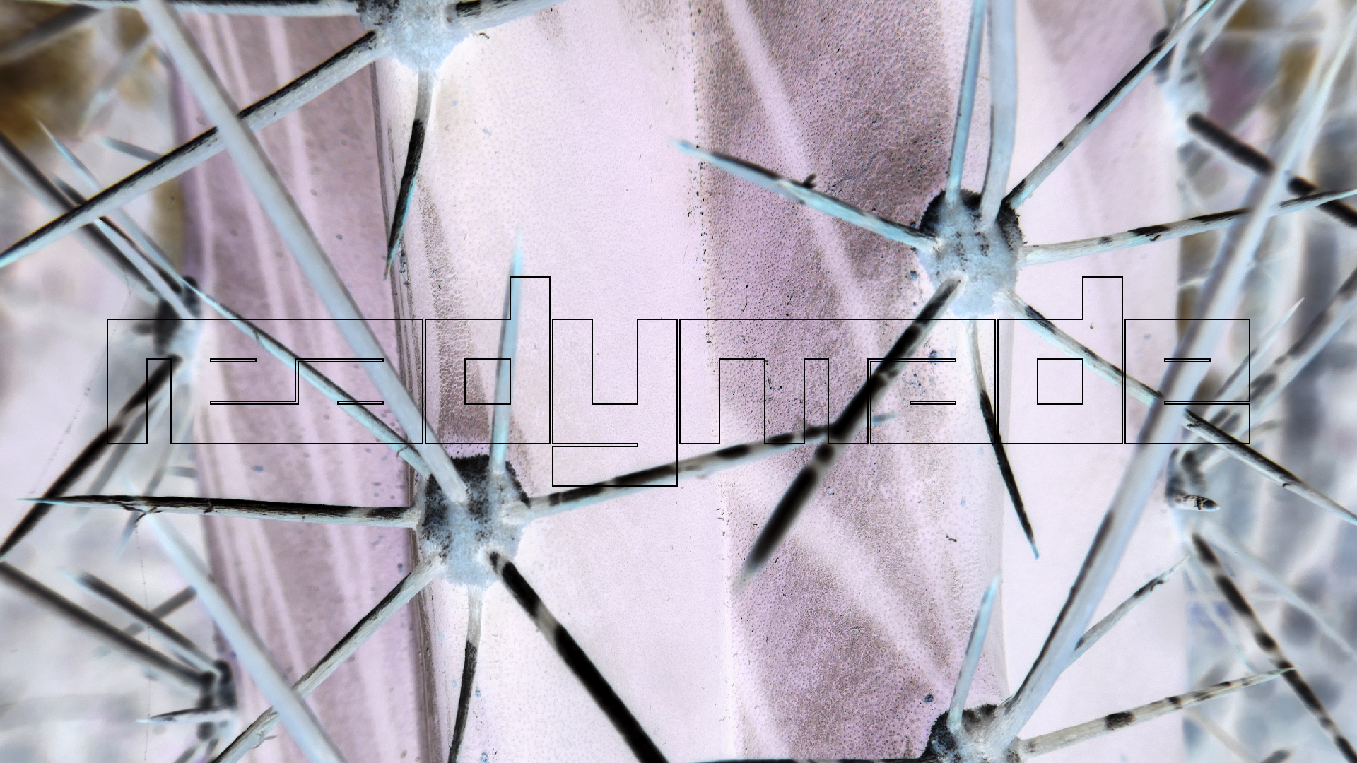 2022-04-22 Blaue Kammer (Foto)