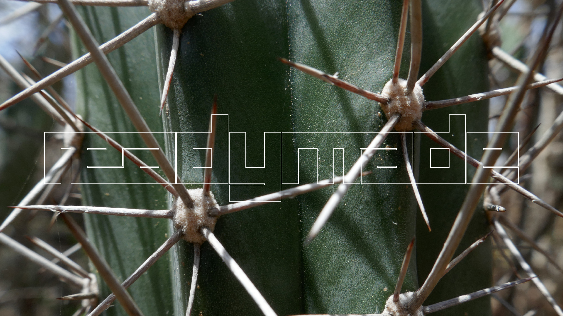 2022-04-22 Blaue Kammer (Foto)