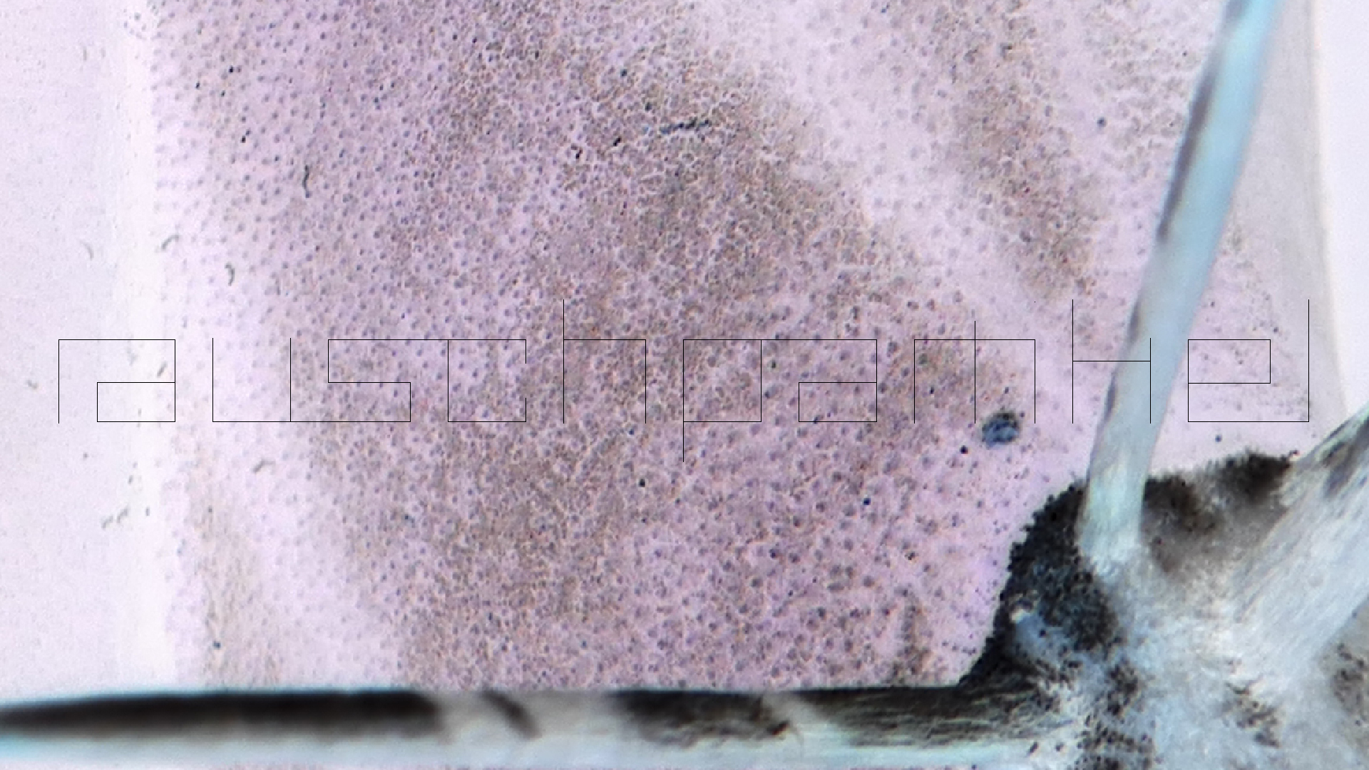 2022-04-22 Blaue Kammer (Foto)