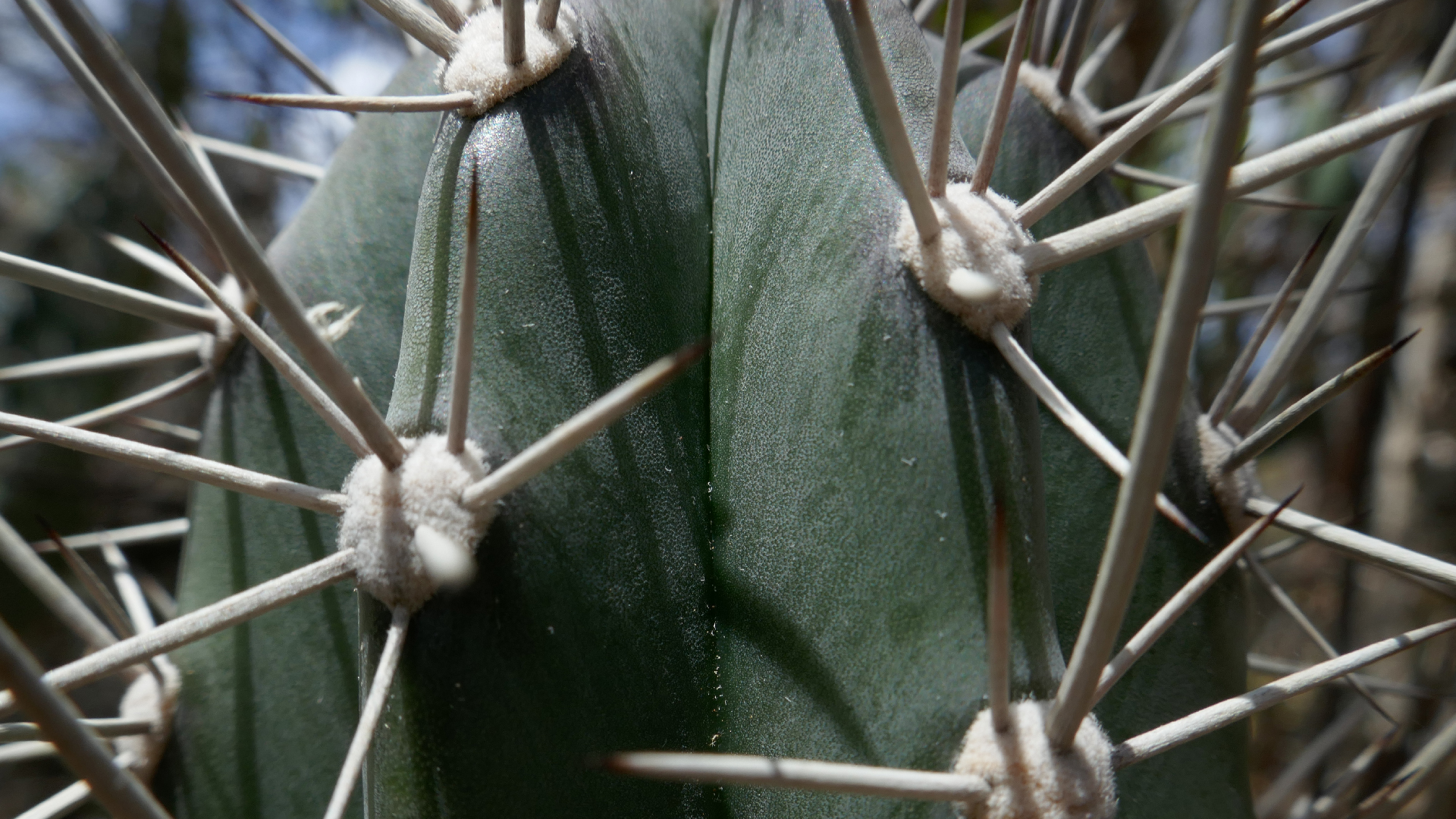 2022-04-22 Blaue Kammer (Foto)