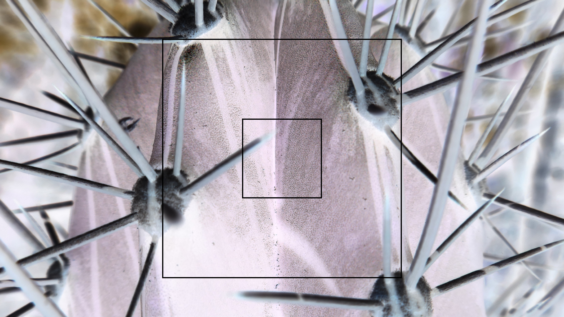 2022-04-22 Blaue Kammer (Foto)