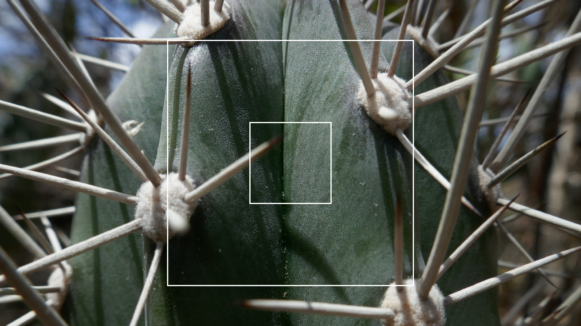 2022-04-22 Blaue Kammer (Foto)