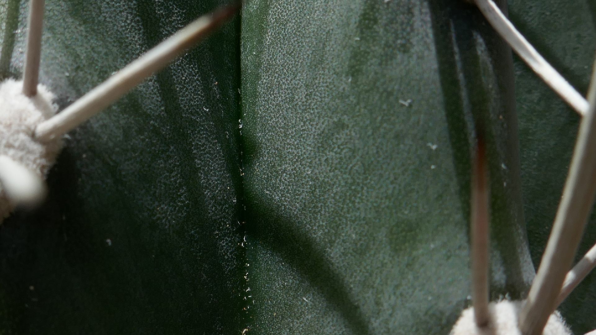 2022-04-22 Blaue Kammer (Foto)