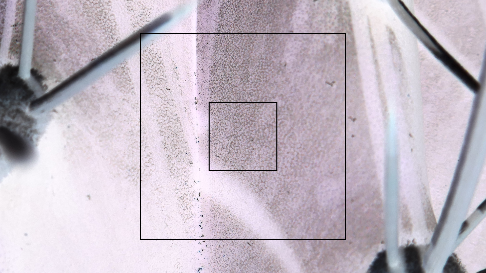 2022-04-22 Blaue Kammer (Foto)