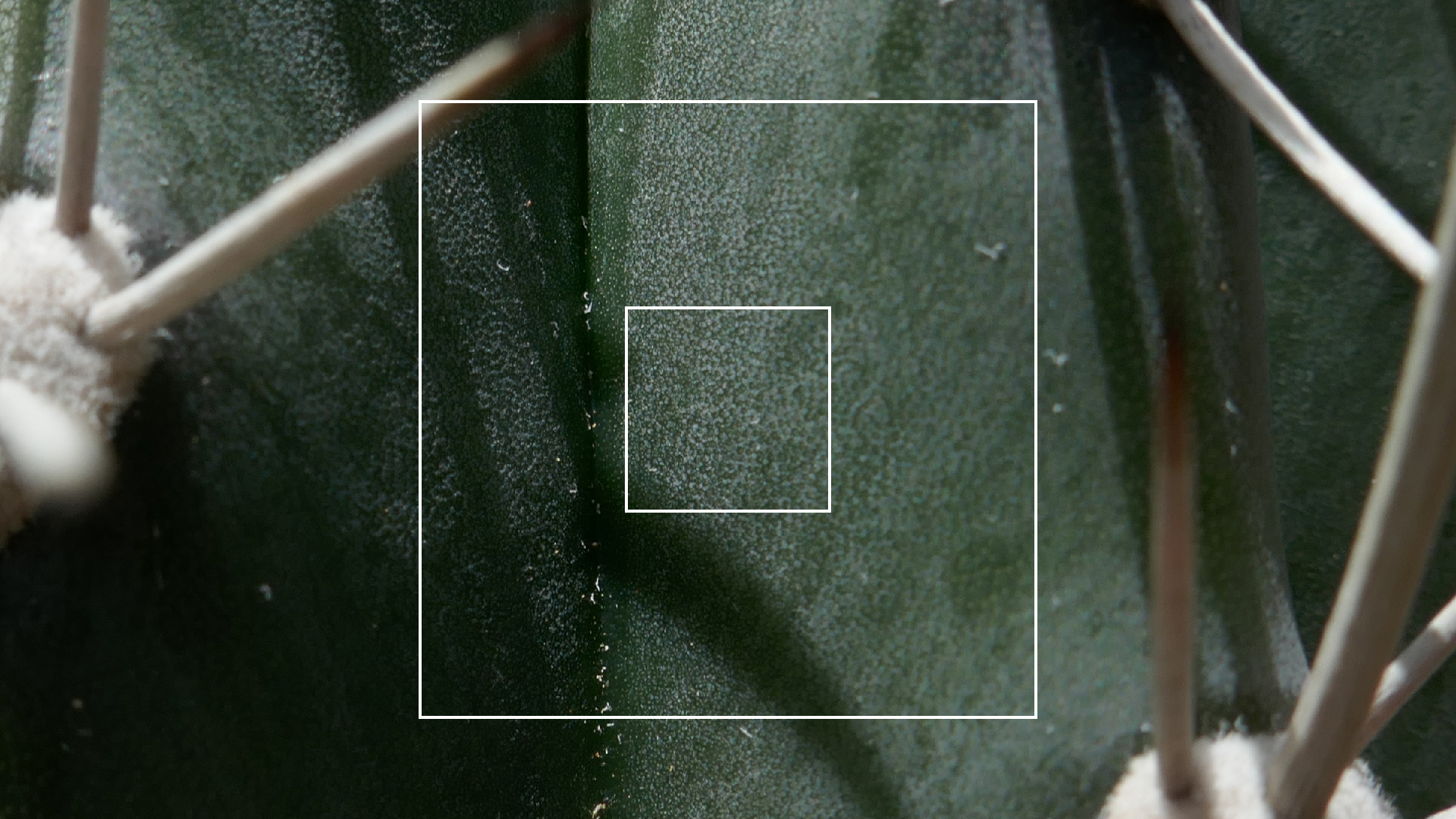 2022-04-22 Blaue Kammer (Foto)