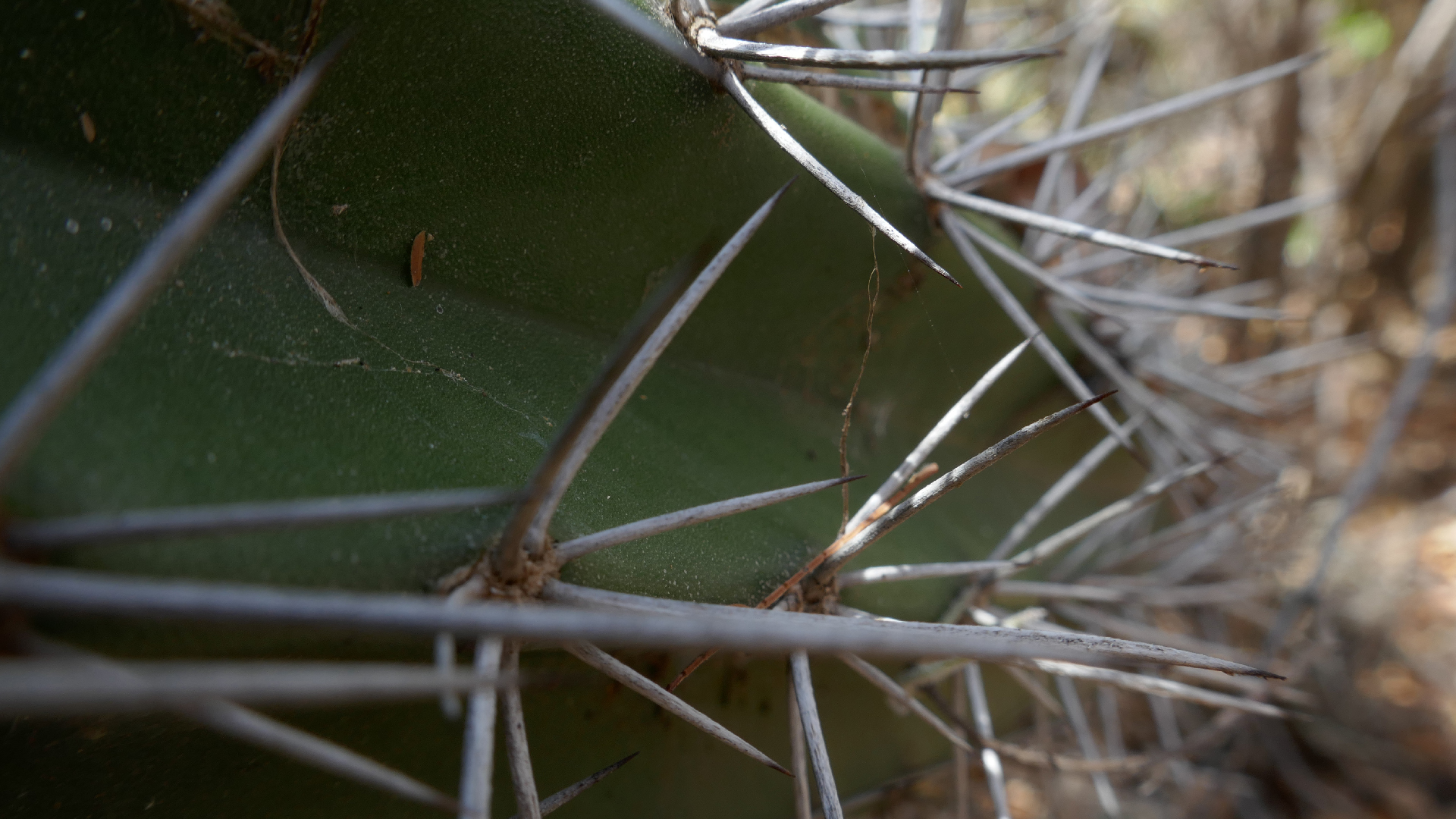 2022-04-22 Blaue Kammer (Foto)