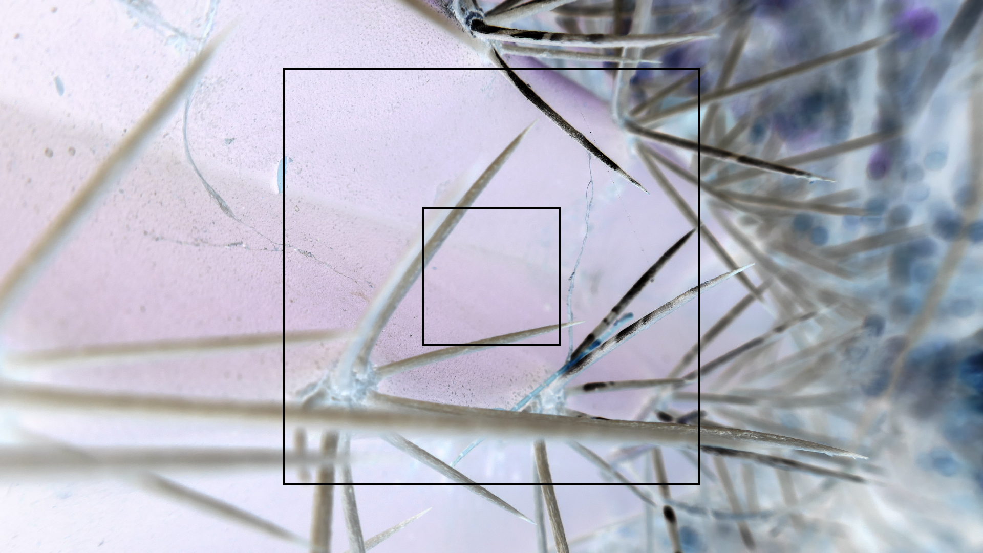 2022-04-22 Blaue Kammer (Foto)