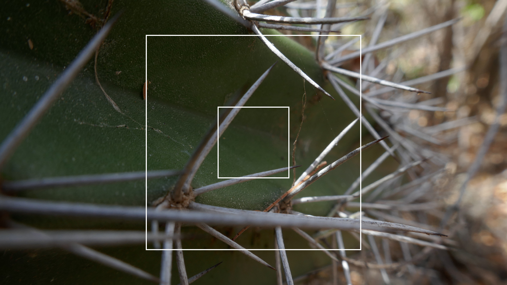 2022-04-22 Blaue Kammer (Foto)