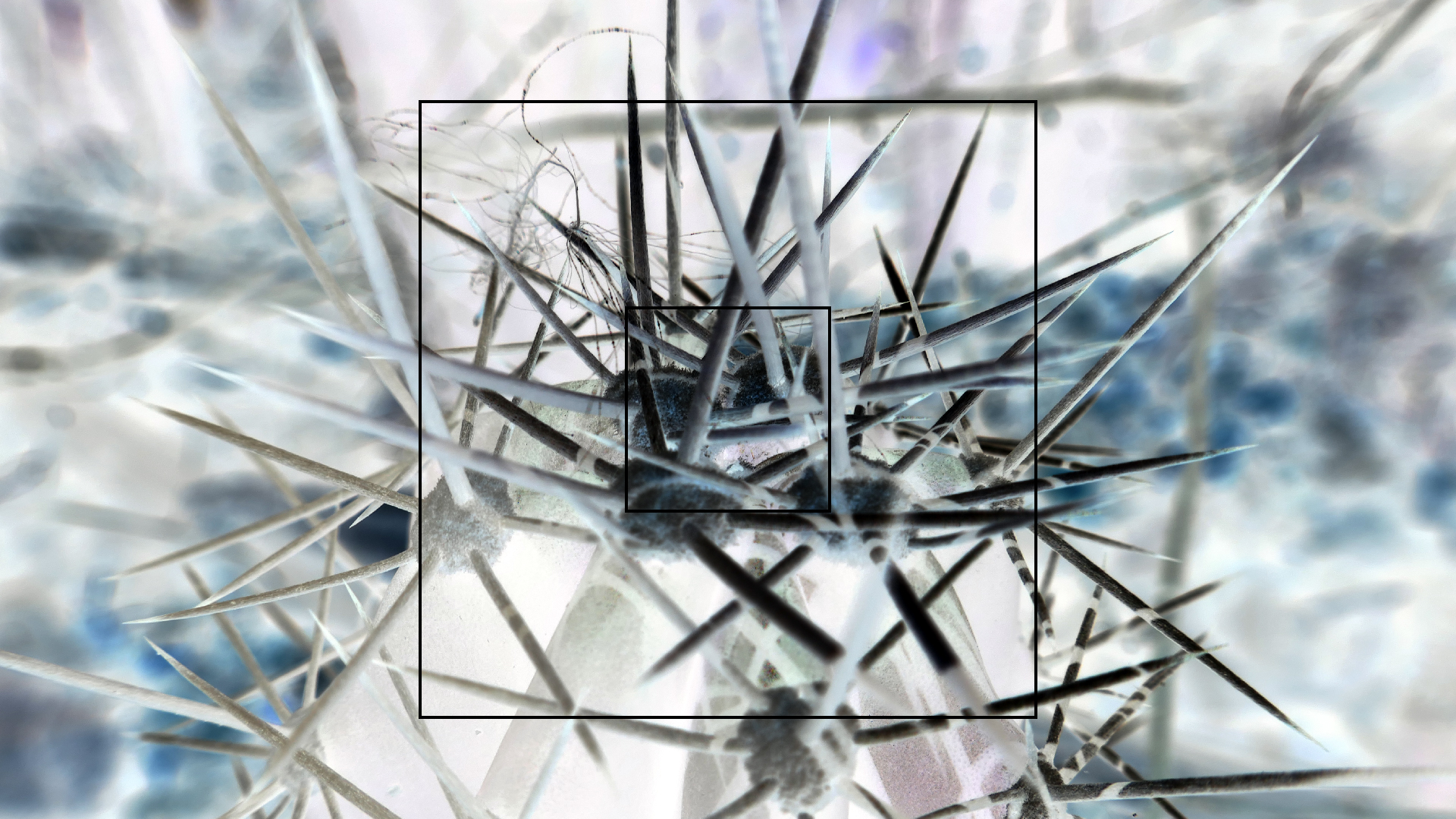 2022-04-22 Blaue Kammer (Foto)