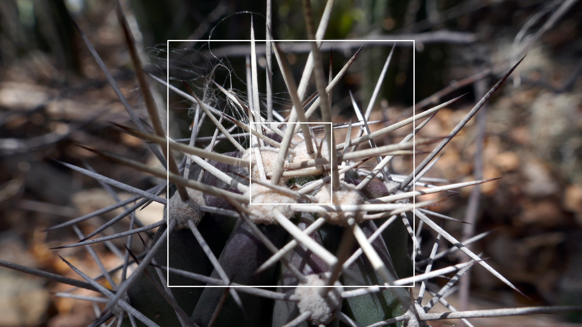 2022-04-22 Blaue Kammer (Foto)