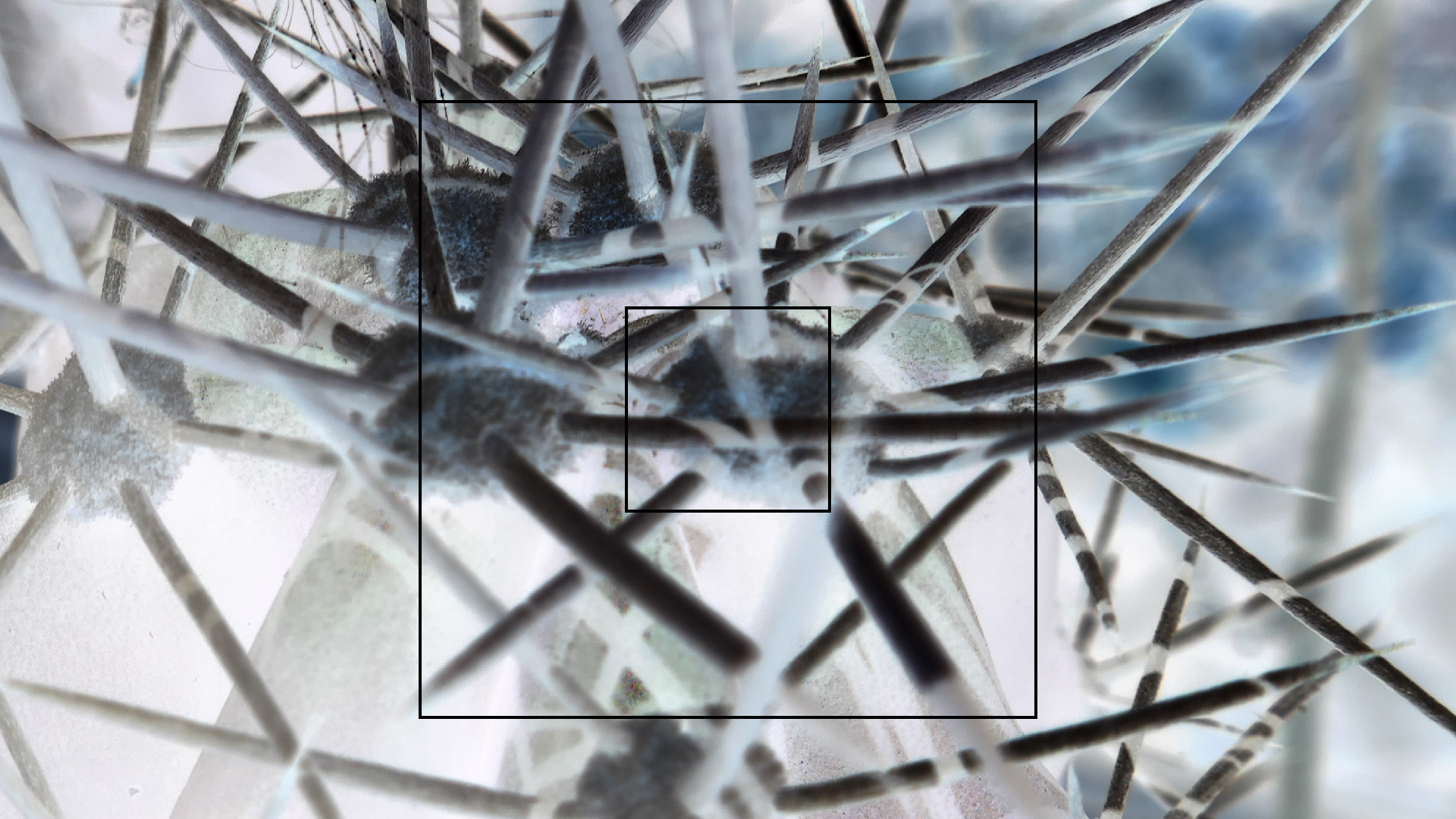 2022-04-22 Blaue Kammer (Foto)