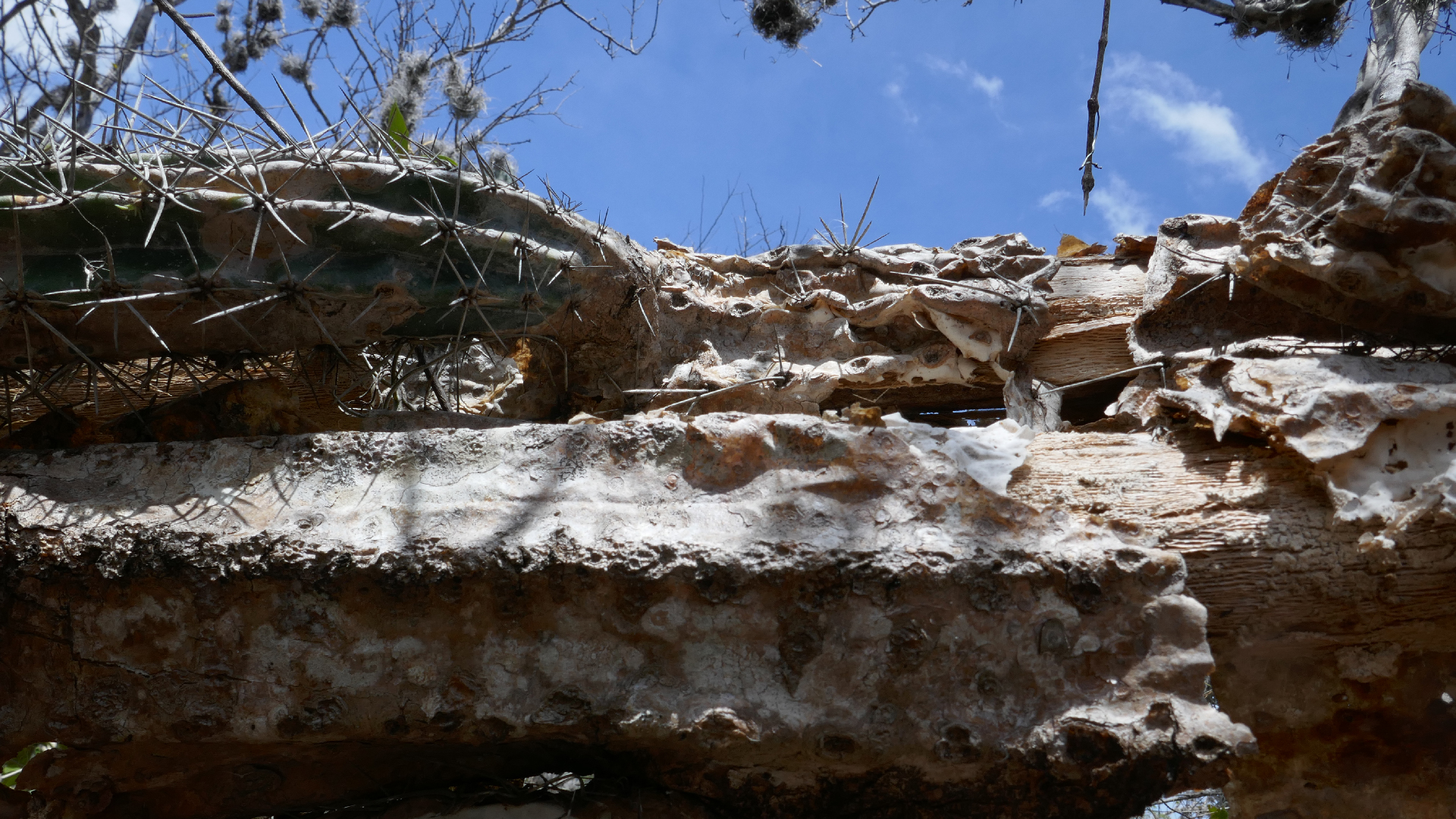 2022-04-22 Blaue Kammer (Foto)