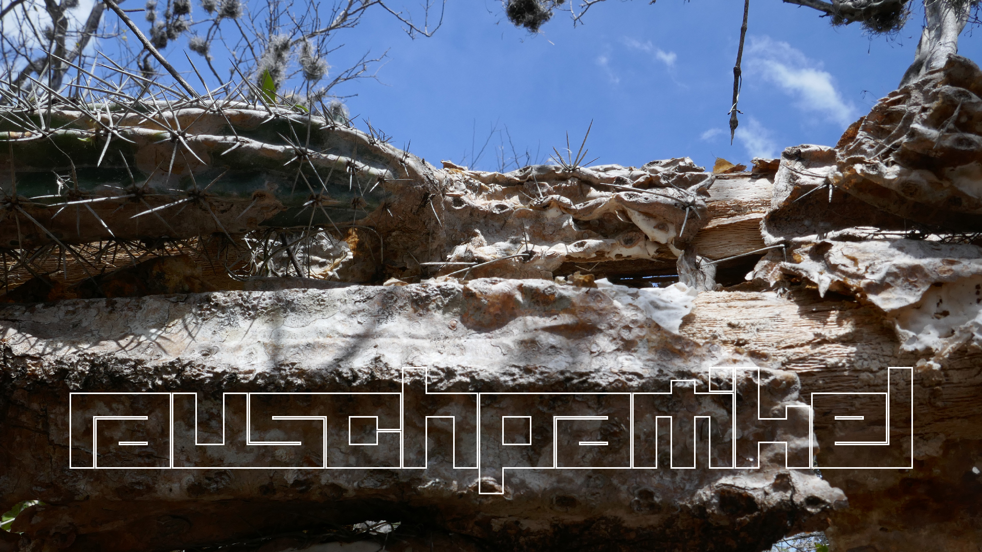 2022-04-22 Blaue Kammer (Foto)