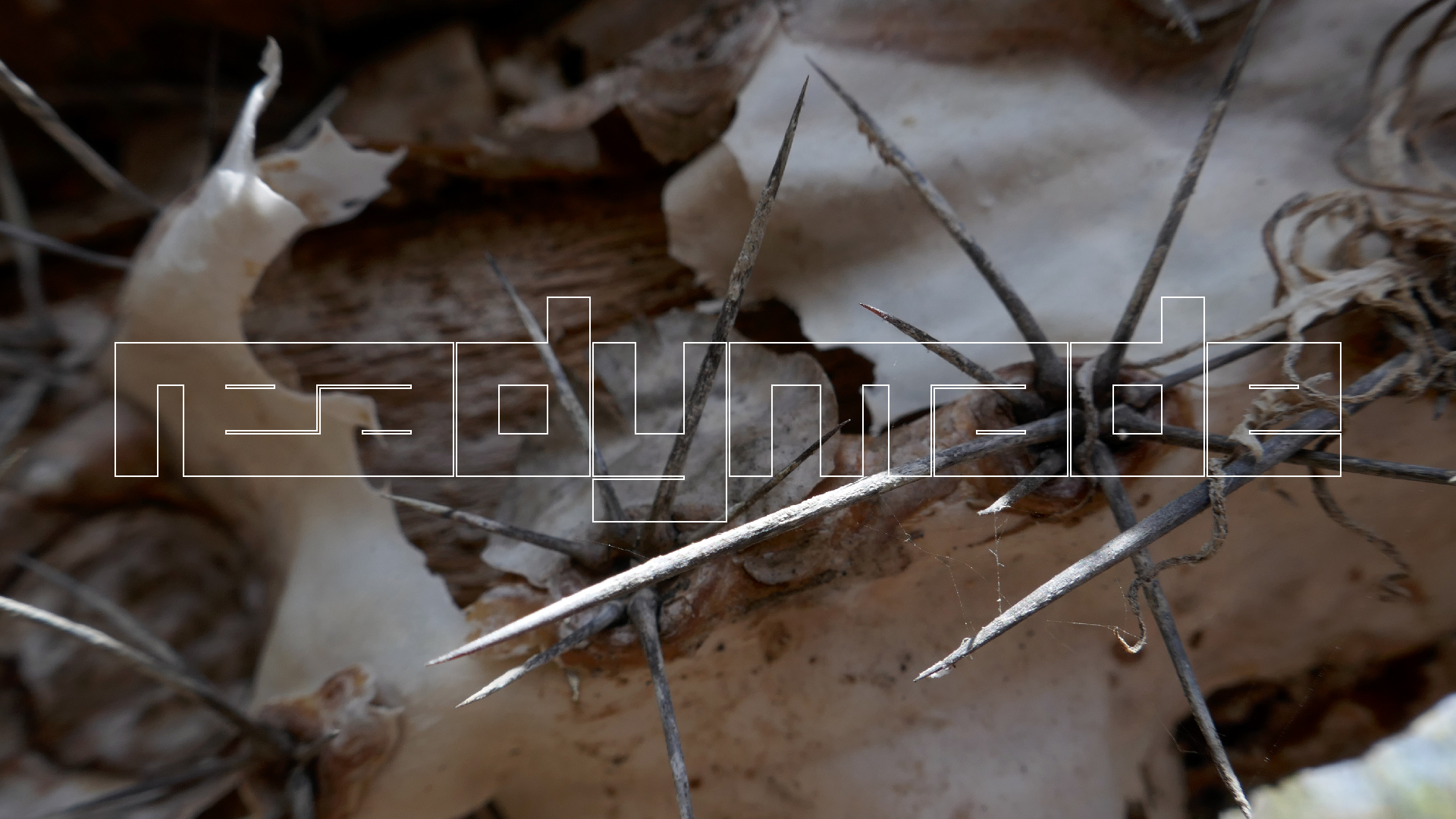 2022-04-22 Blaue Kammer (Foto)