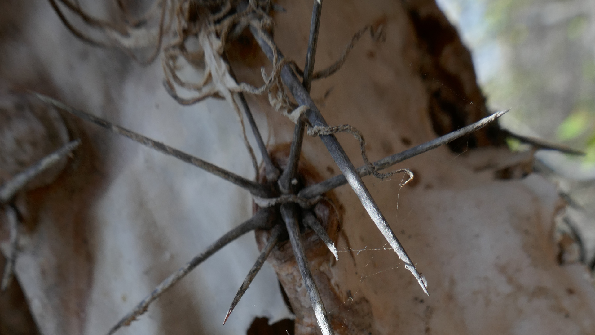 2022-04-22 Blaue Kammer (Foto)