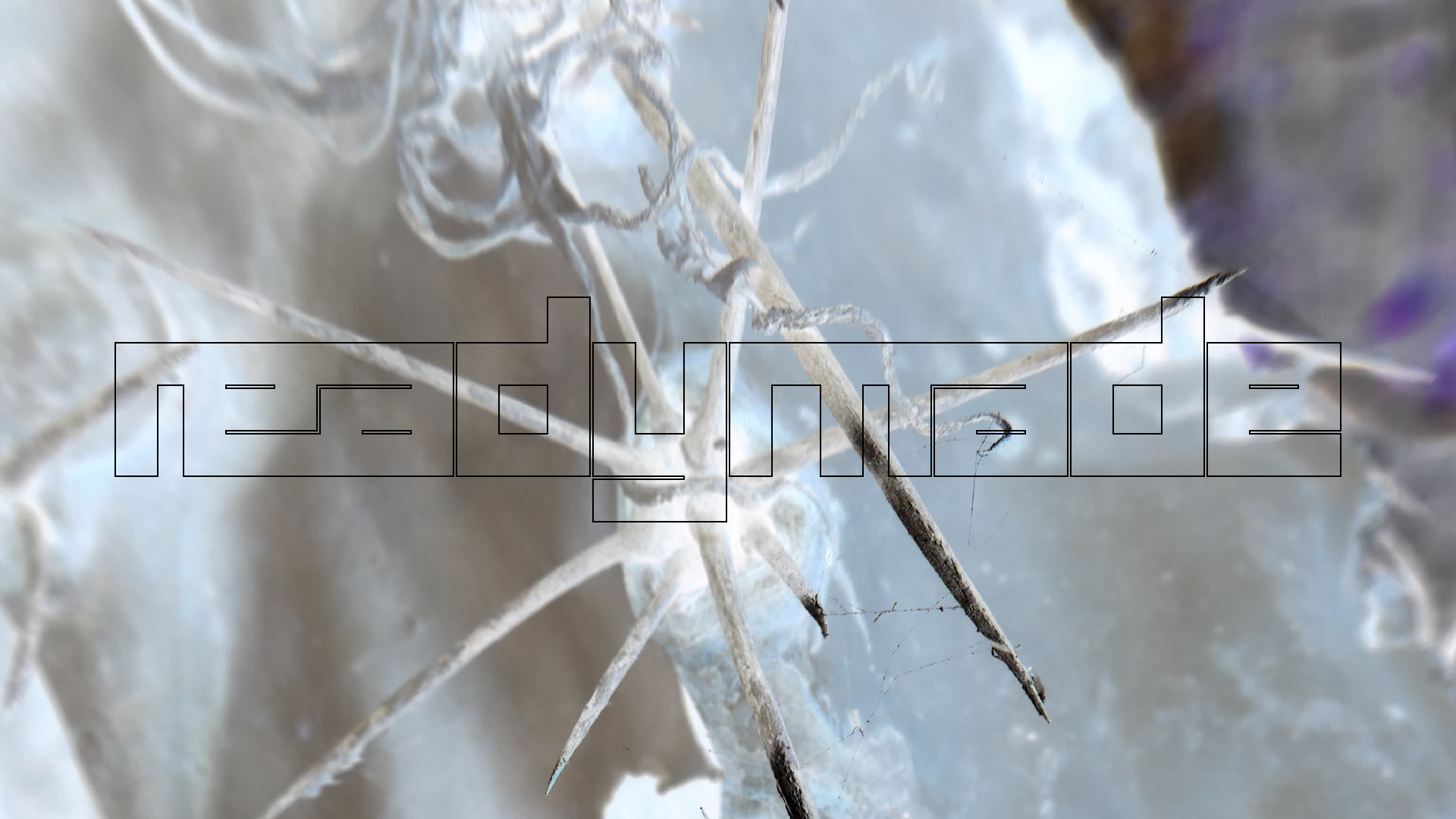 2022-04-22 Blaue Kammer (Foto)