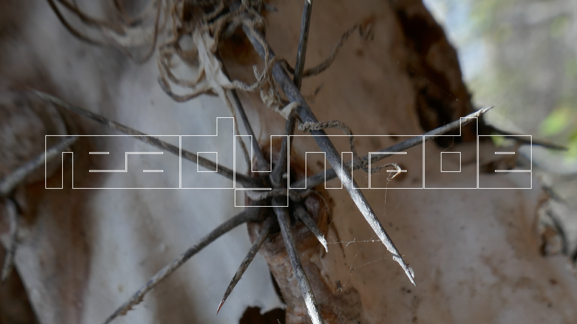 2022-04-22 Blaue Kammer (Foto)