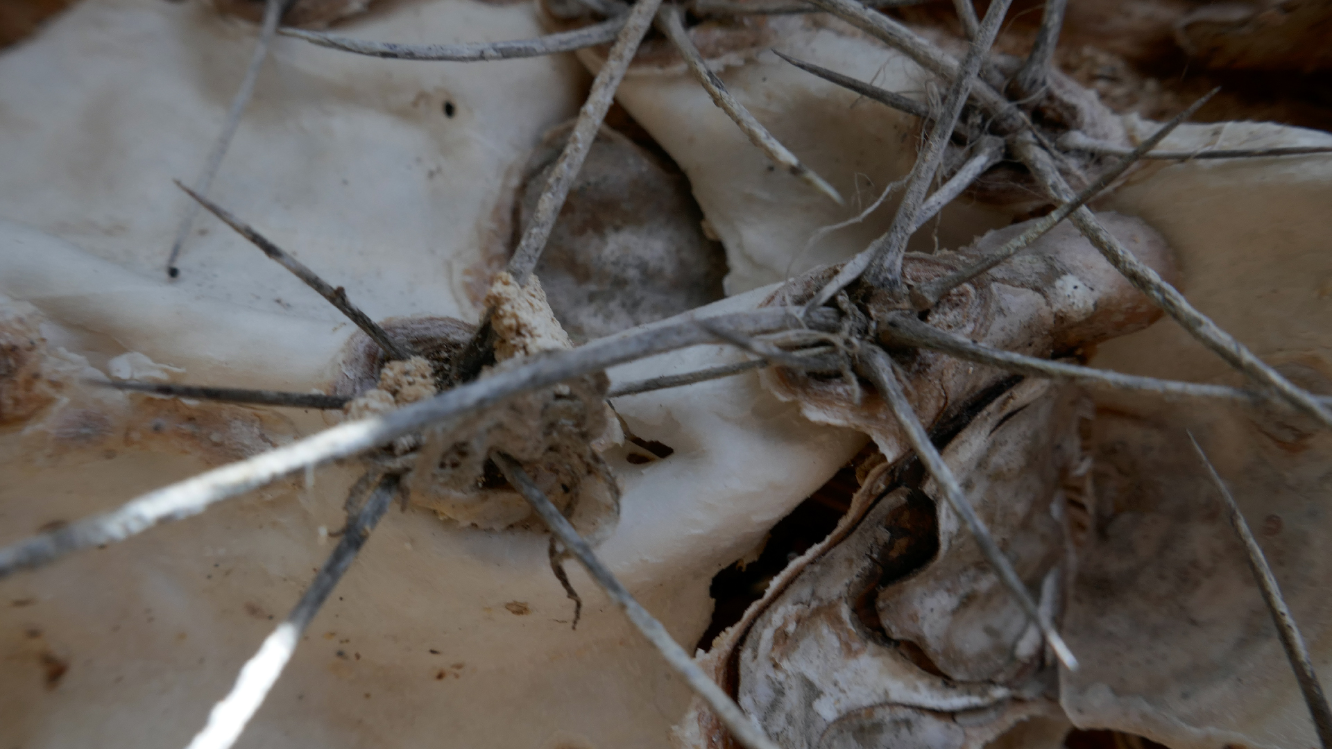 2022-04-22 Blaue Kammer (Foto)