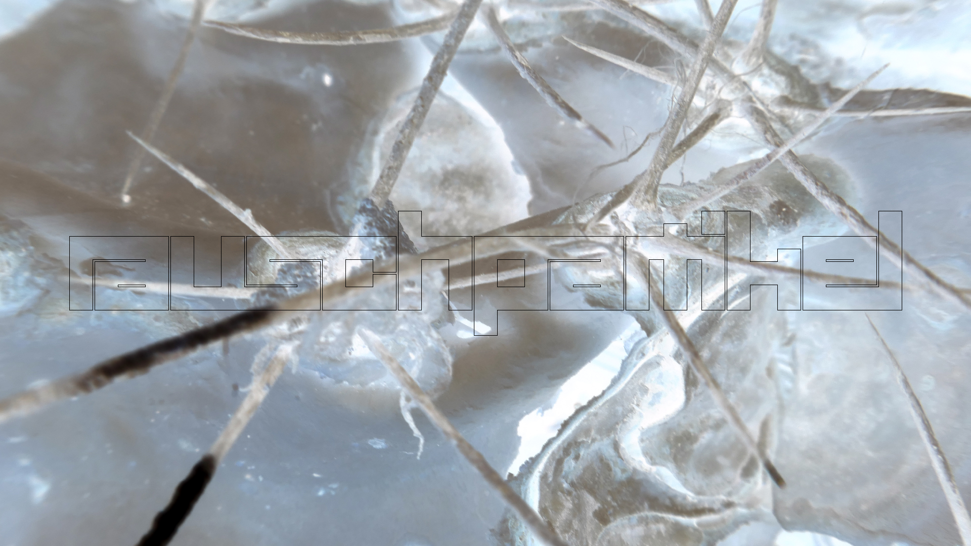 2022-04-22 Blaue Kammer (Foto)