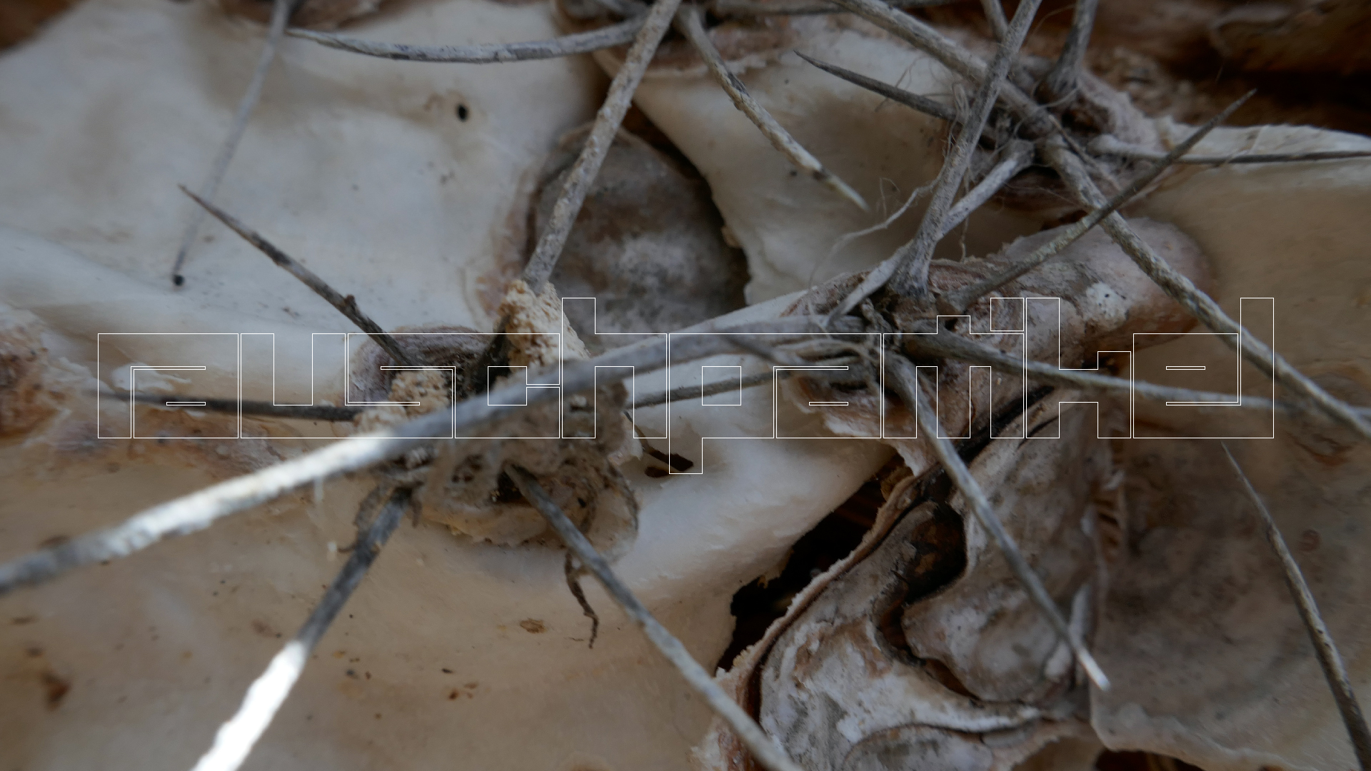 2022-04-22 Blaue Kammer (Foto)