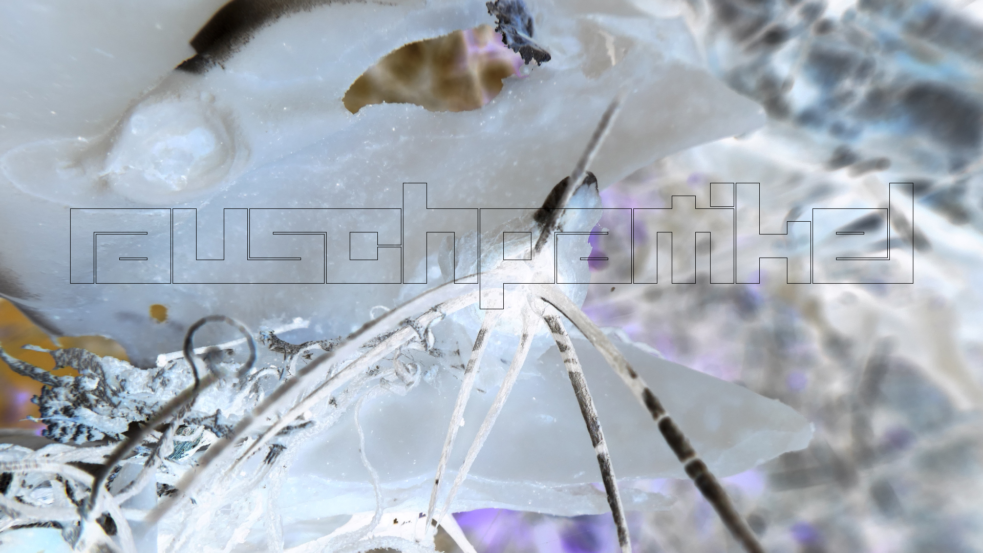 2022-04-22 Blaue Kammer (Foto)