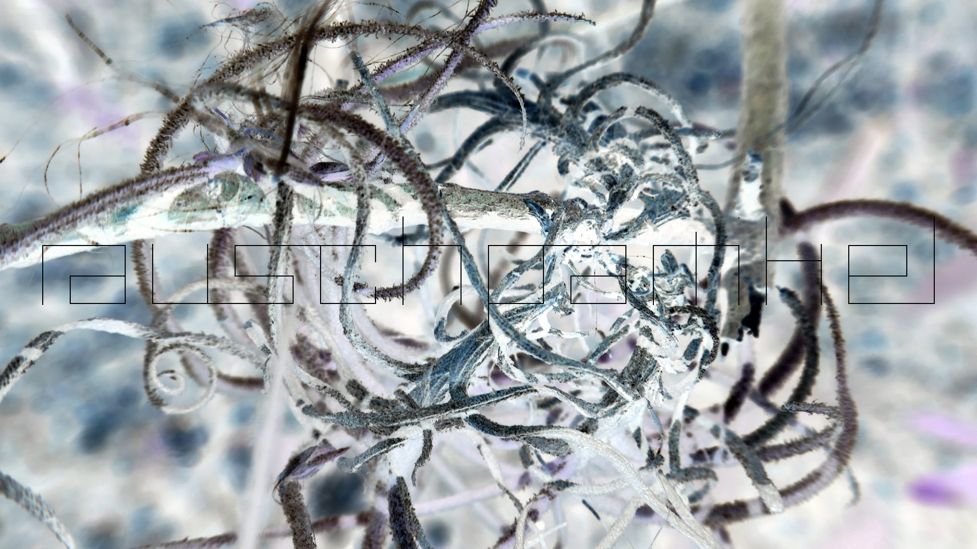 2022-04-22 Blaue Kammer (Foto)