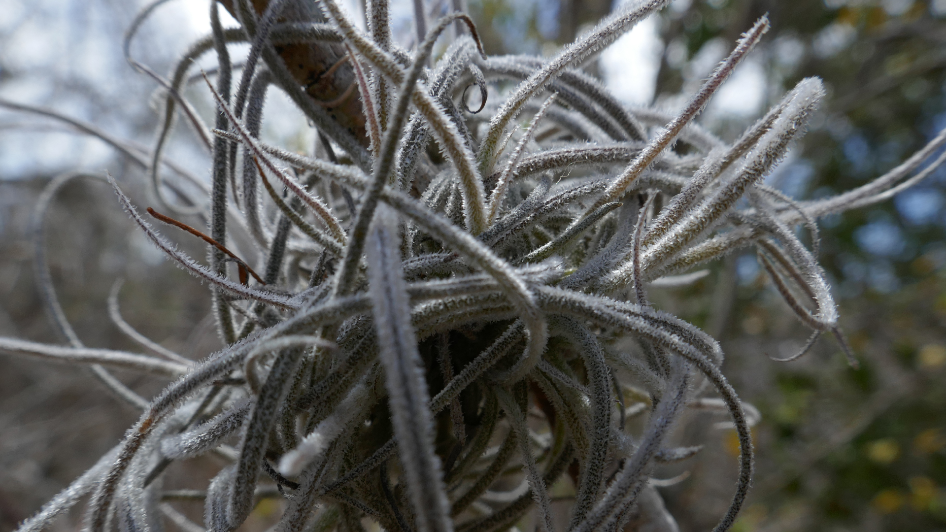2022-04-22 Blaue Kammer (Foto)