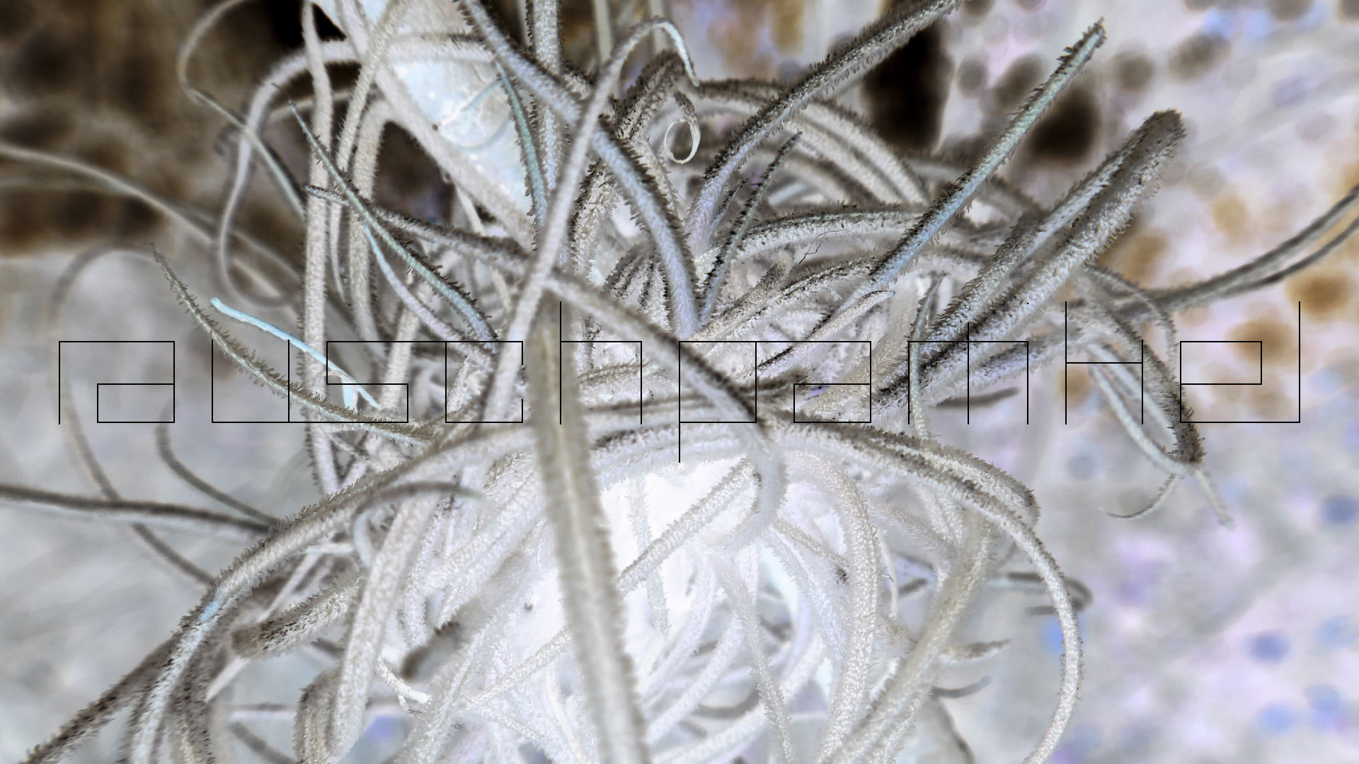 2022-04-22 Blaue Kammer (Foto)