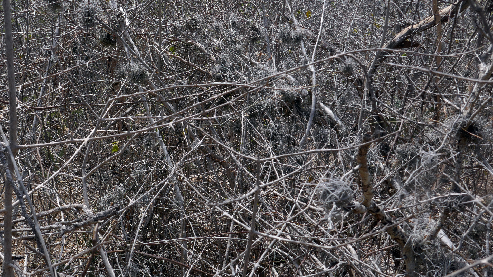 2022-04-22 Blaue Kammer (Foto)