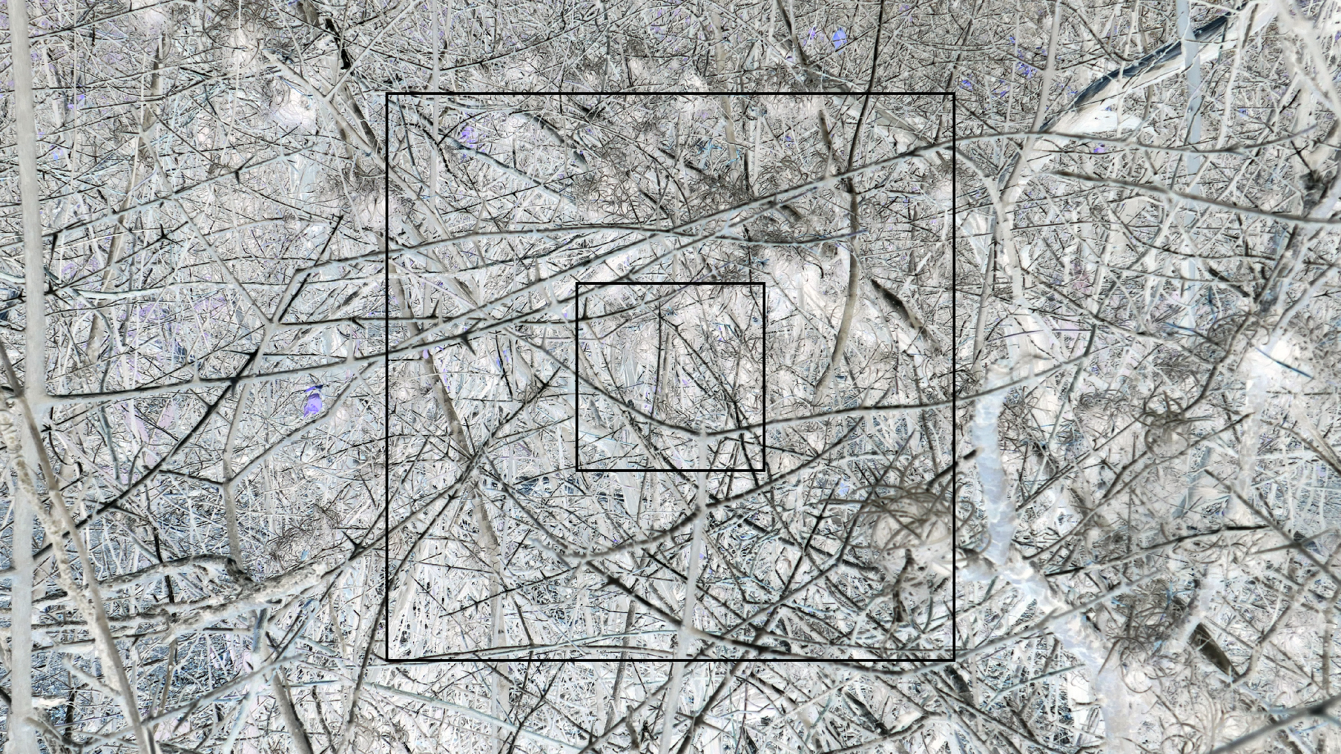 2022-04-22 Blaue Kammer (Foto)