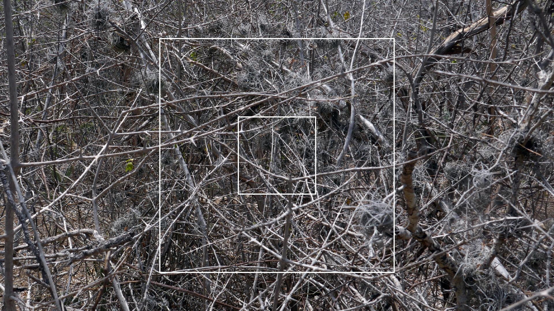 2022-04-22 Blaue Kammer (Foto)