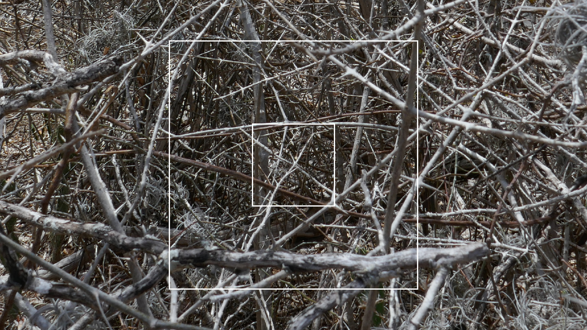 2022-04-22 Blaue Kammer (Foto)