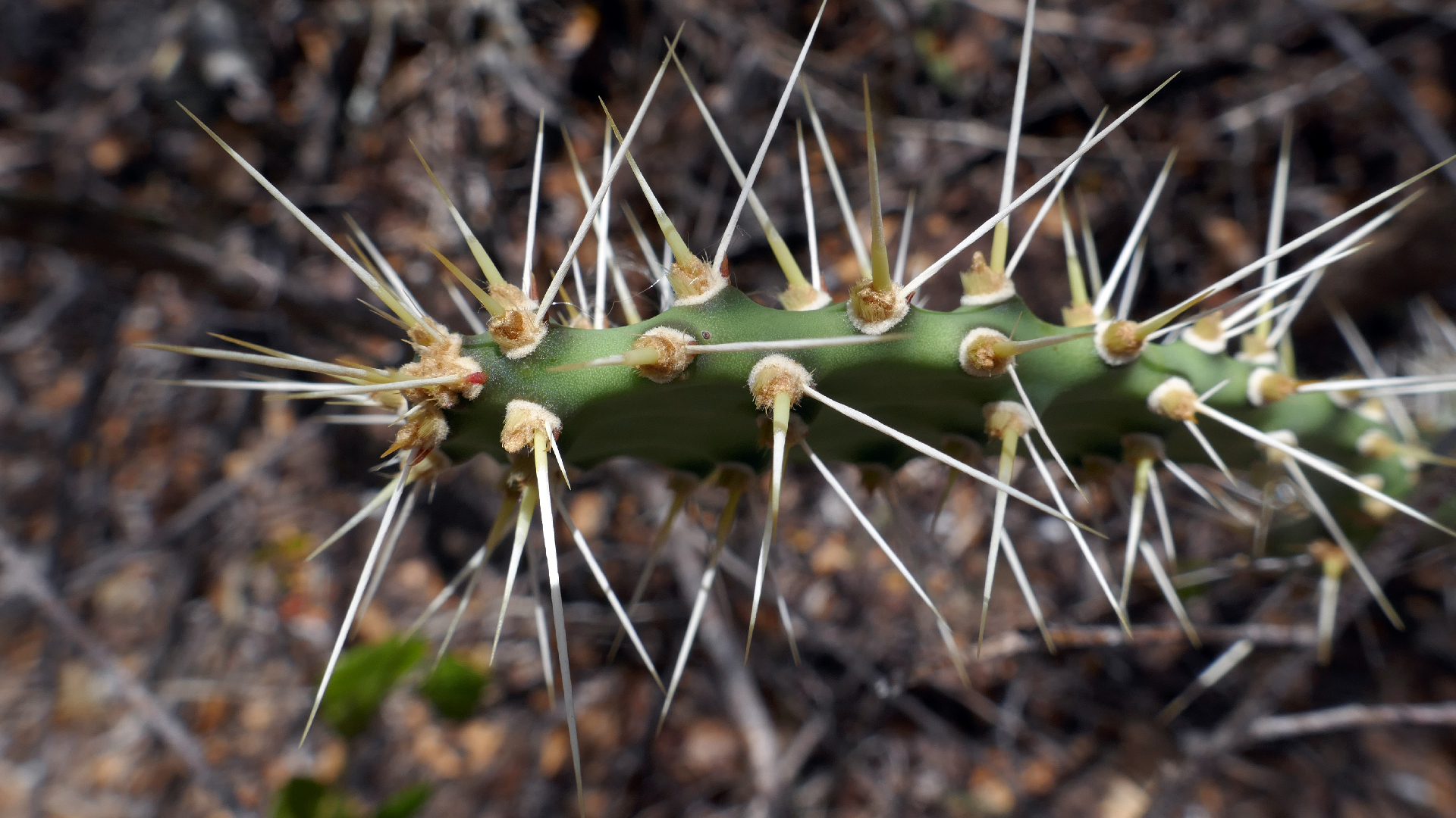 2022-04-22 Blaue Kammer (Foto)