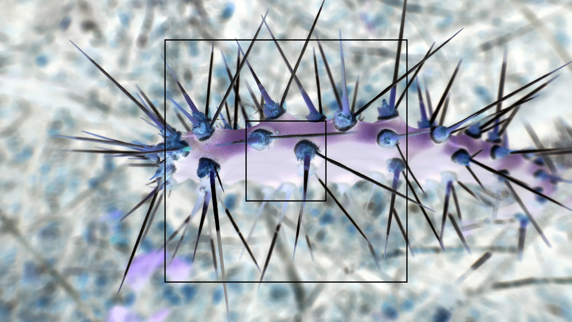 2022-04-22 Blaue Kammer (Foto)