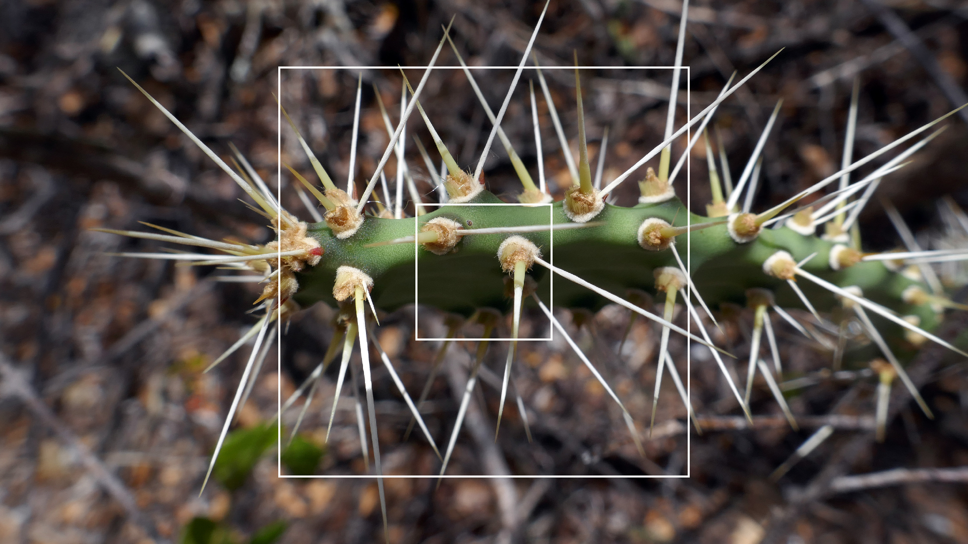 2022-04-22 Blaue Kammer (Foto)