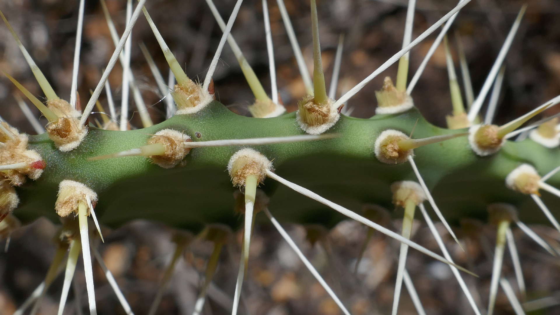 2022-04-22 Blaue Kammer (Foto)