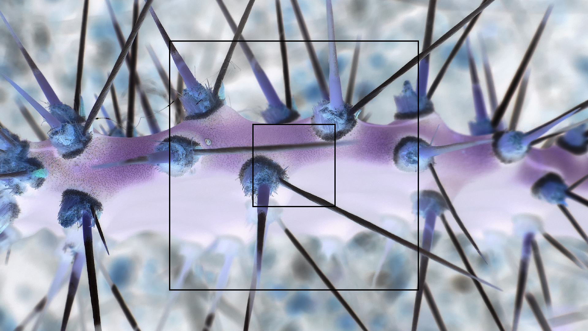 2022-04-22 Blaue Kammer (Foto)