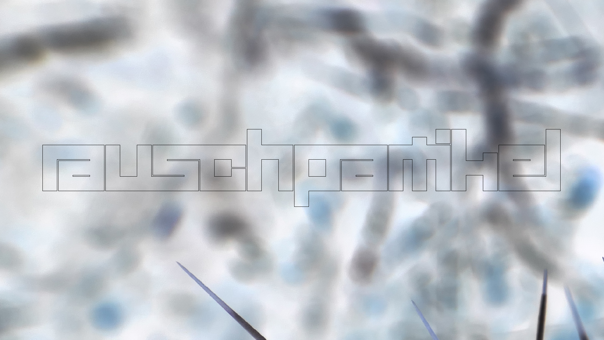 2022-04-22 Blaue Kammer (Foto)