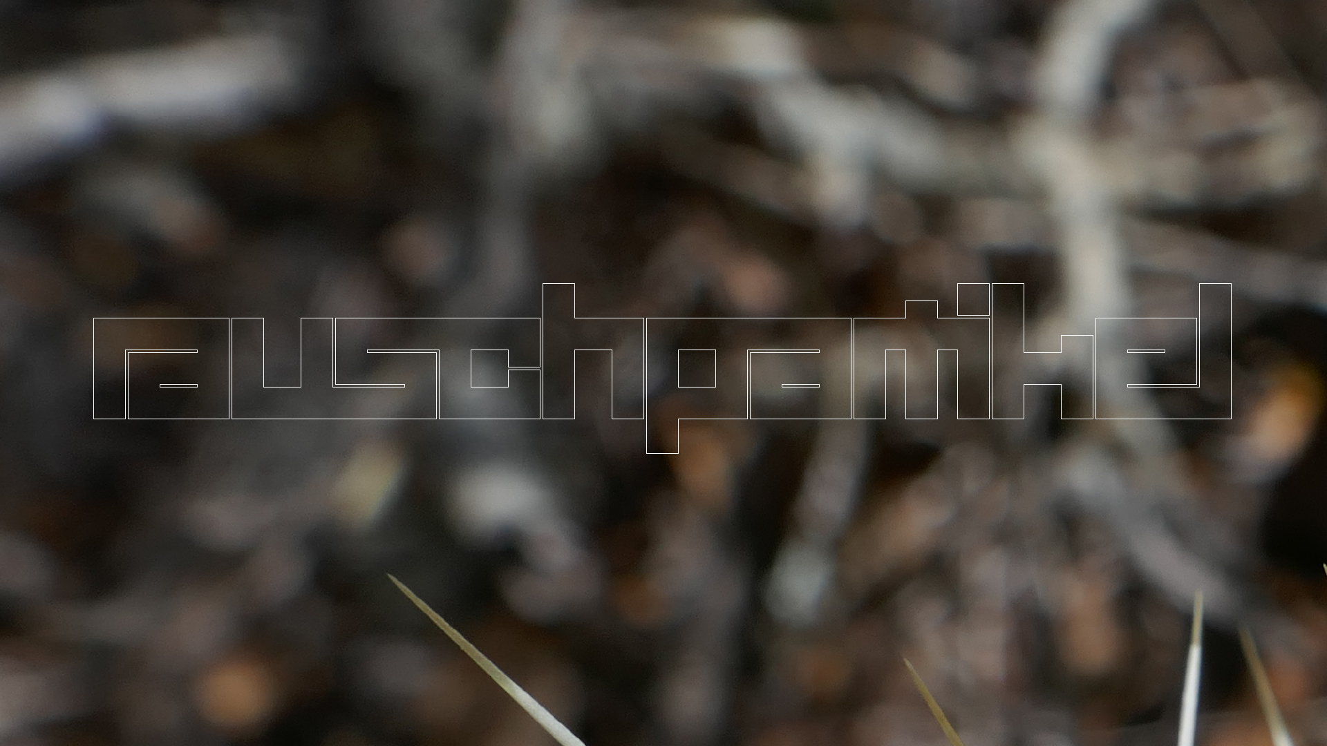 2022-04-22 Blaue Kammer (Foto)