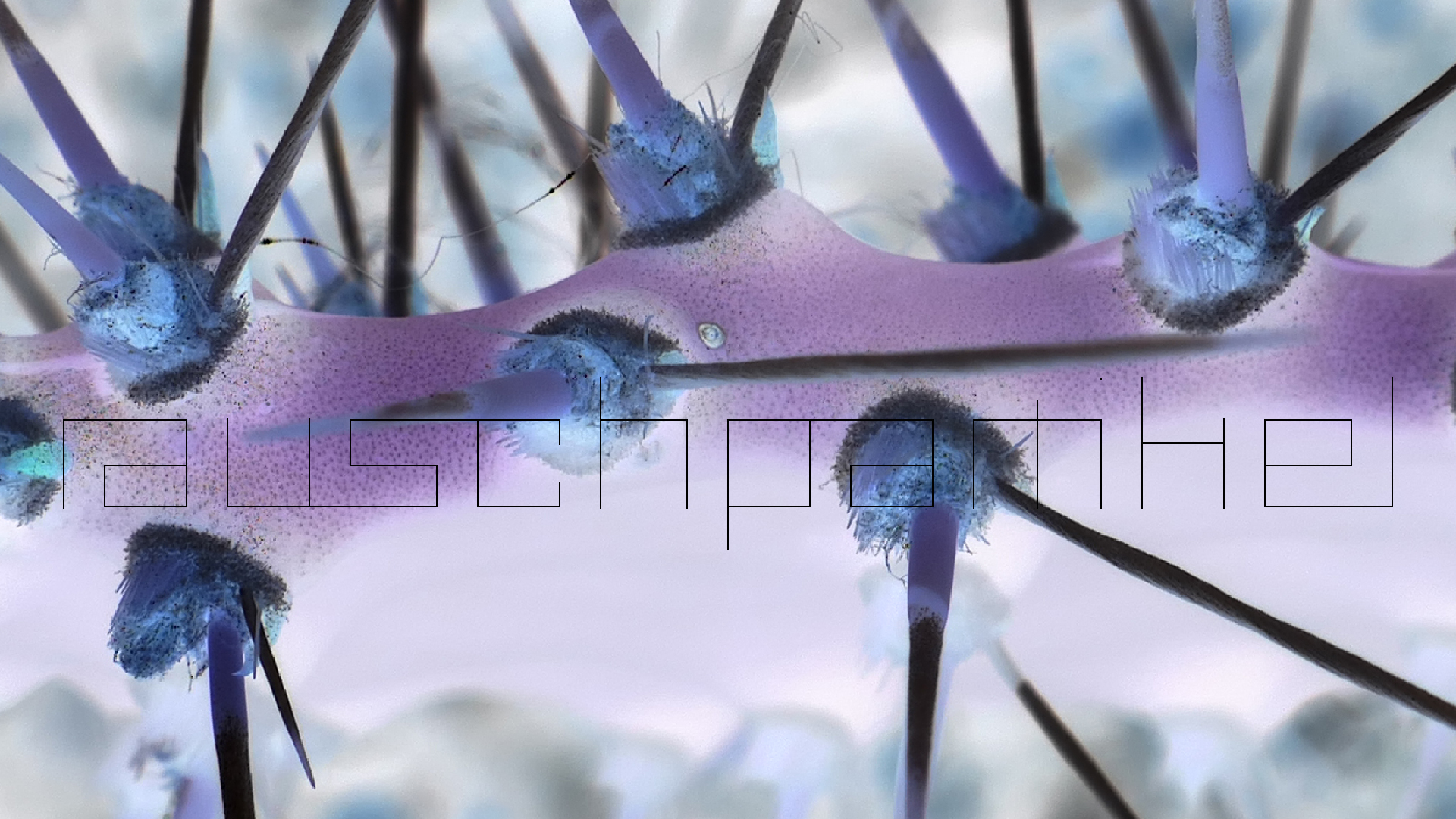 2022-04-22 Blaue Kammer (Foto)