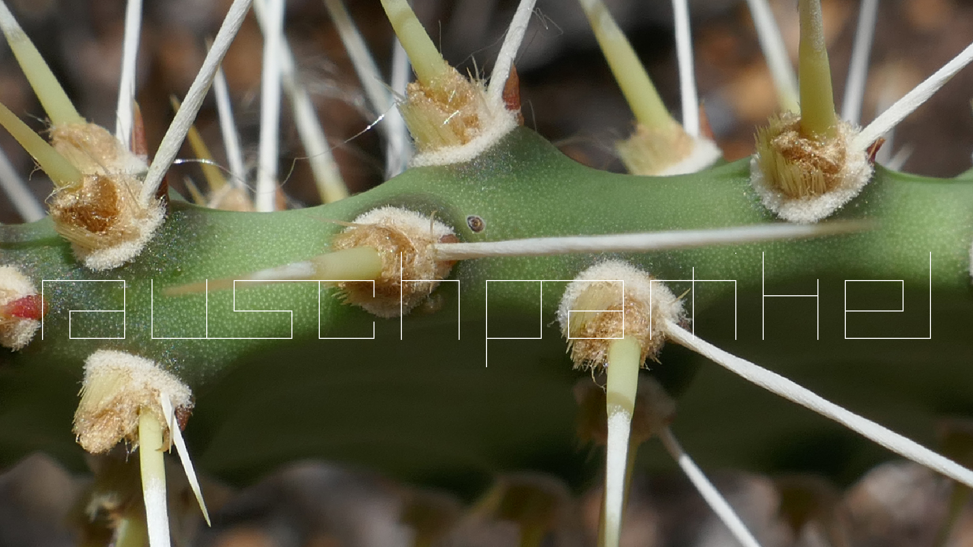 2022-04-22 Blaue Kammer (Foto)