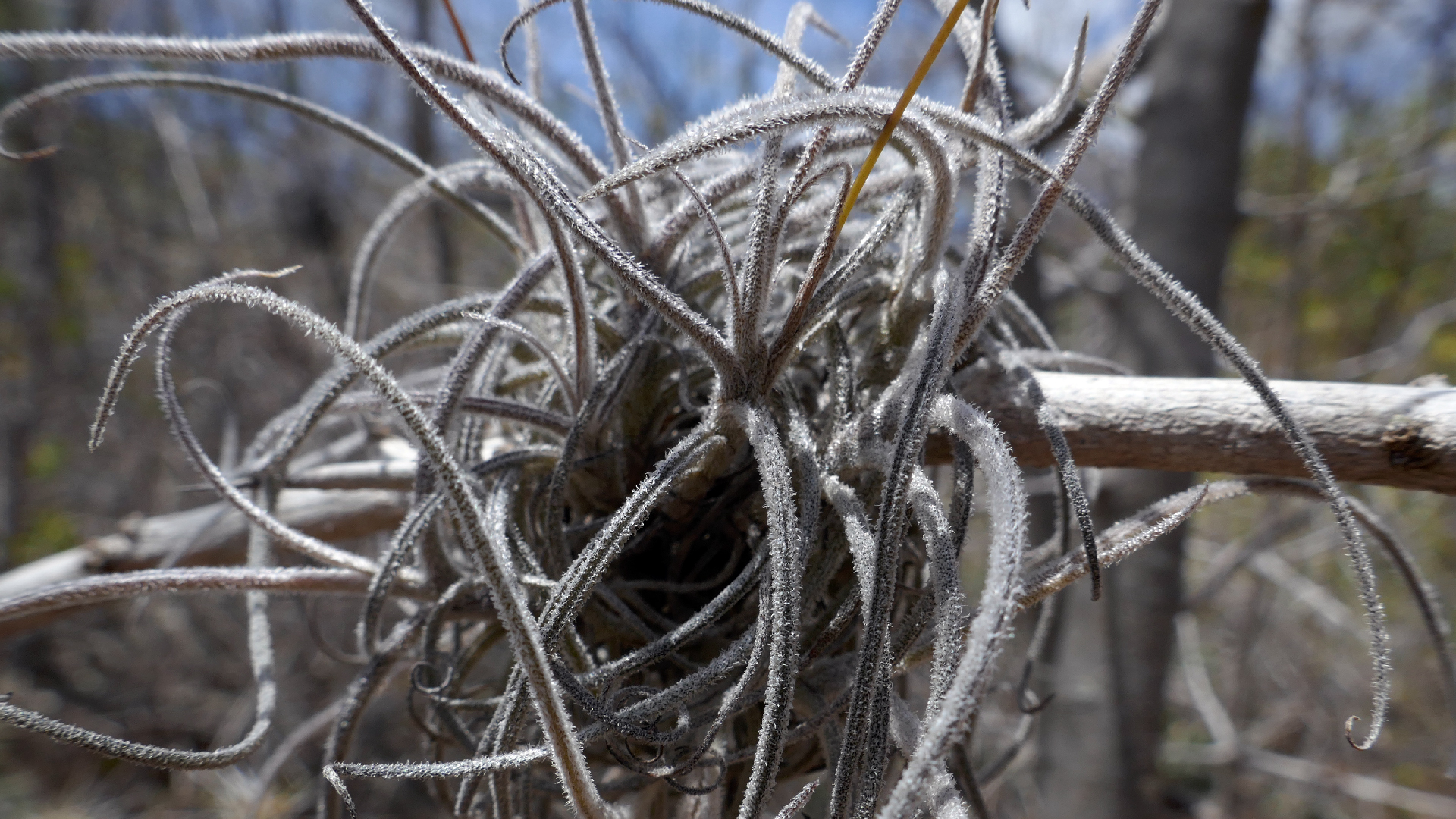 2022-04-22 Blaue Kammer (Foto)