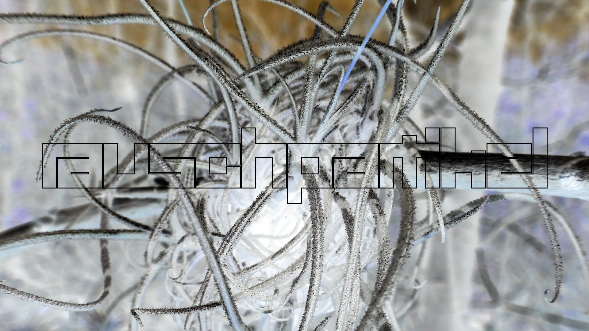 2022-04-22 Blaue Kammer (Foto)