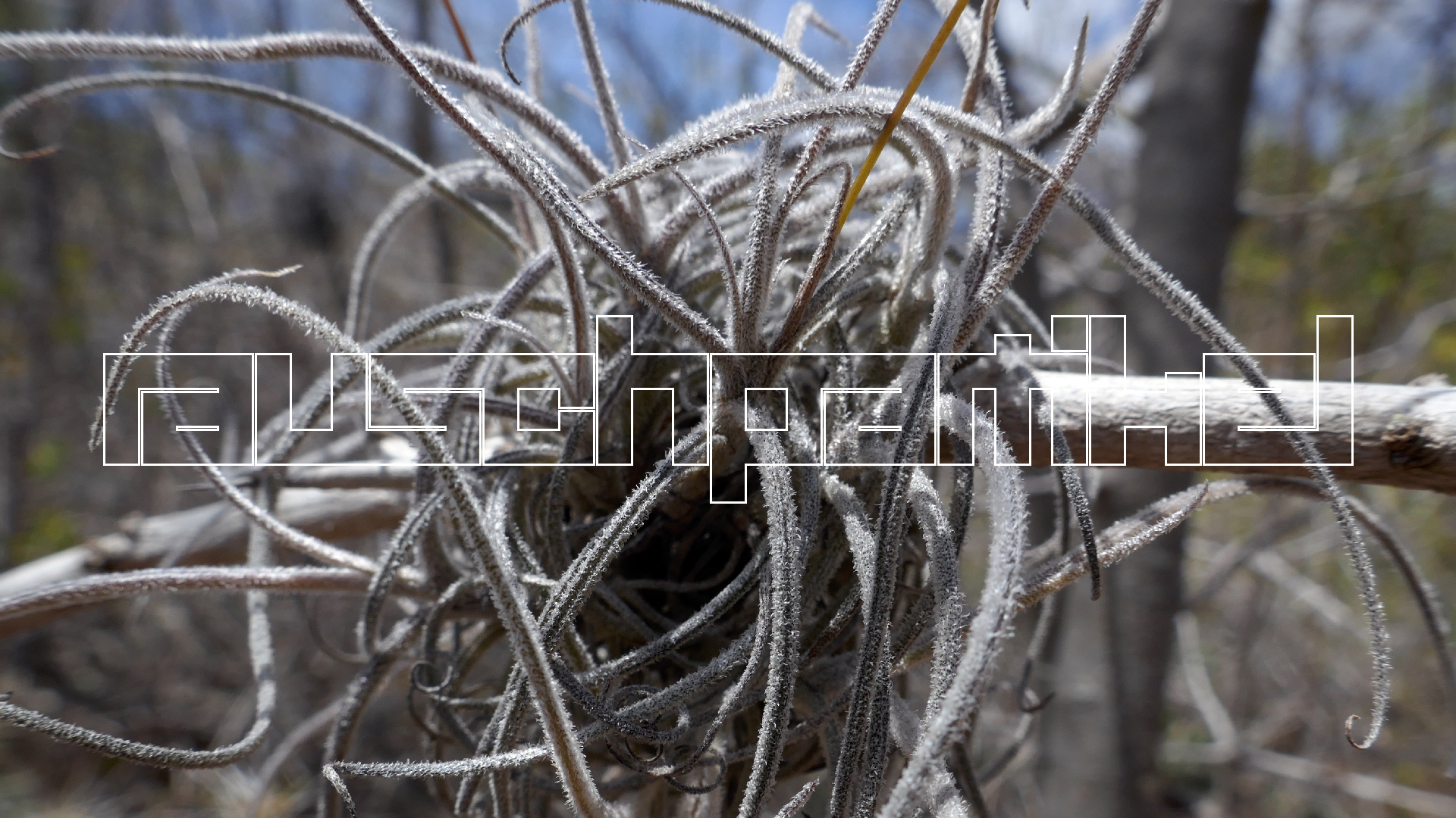 2022-04-22 Blaue Kammer (Foto)