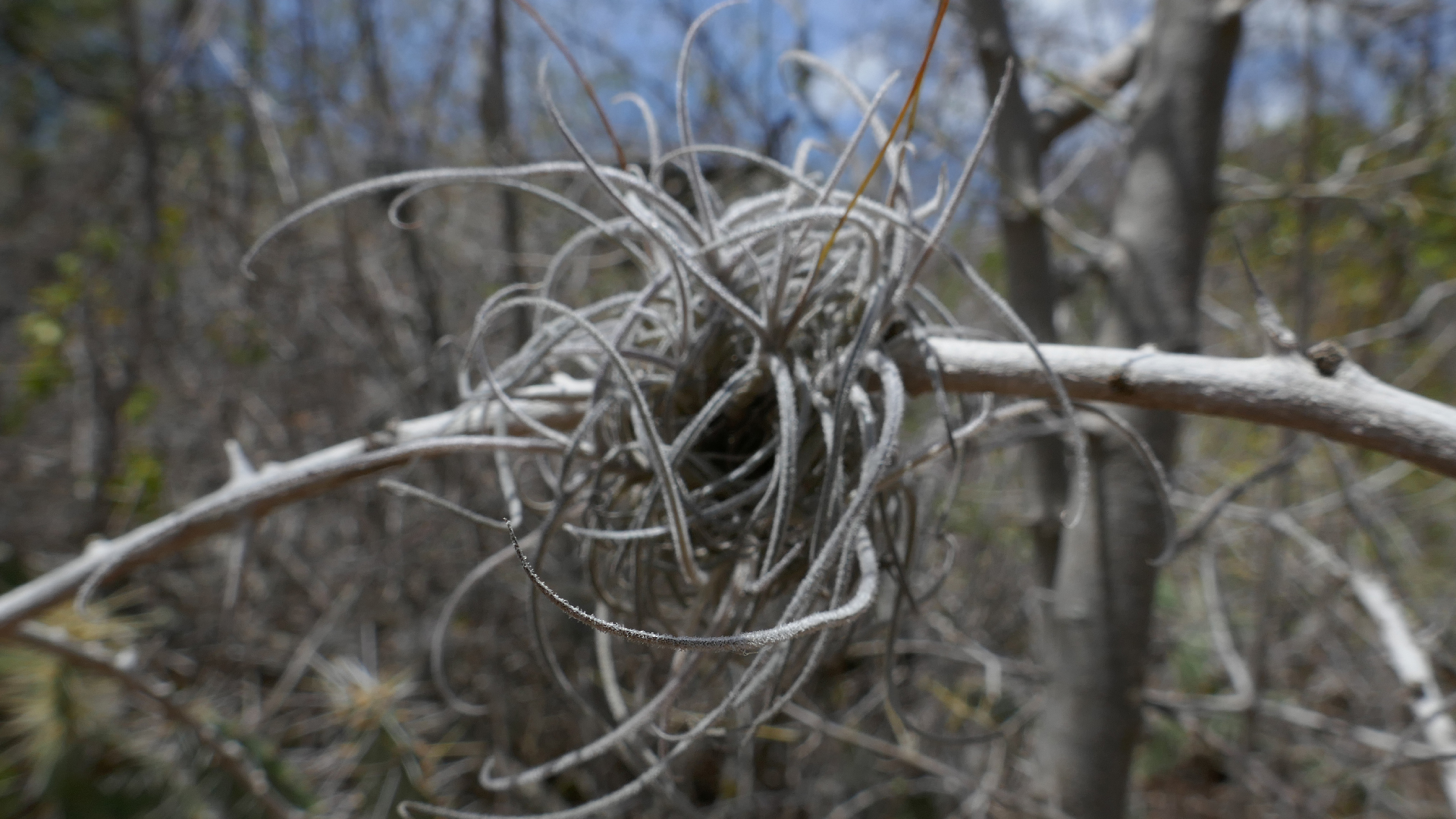 2022-04-22 Blaue Kammer (Foto)
