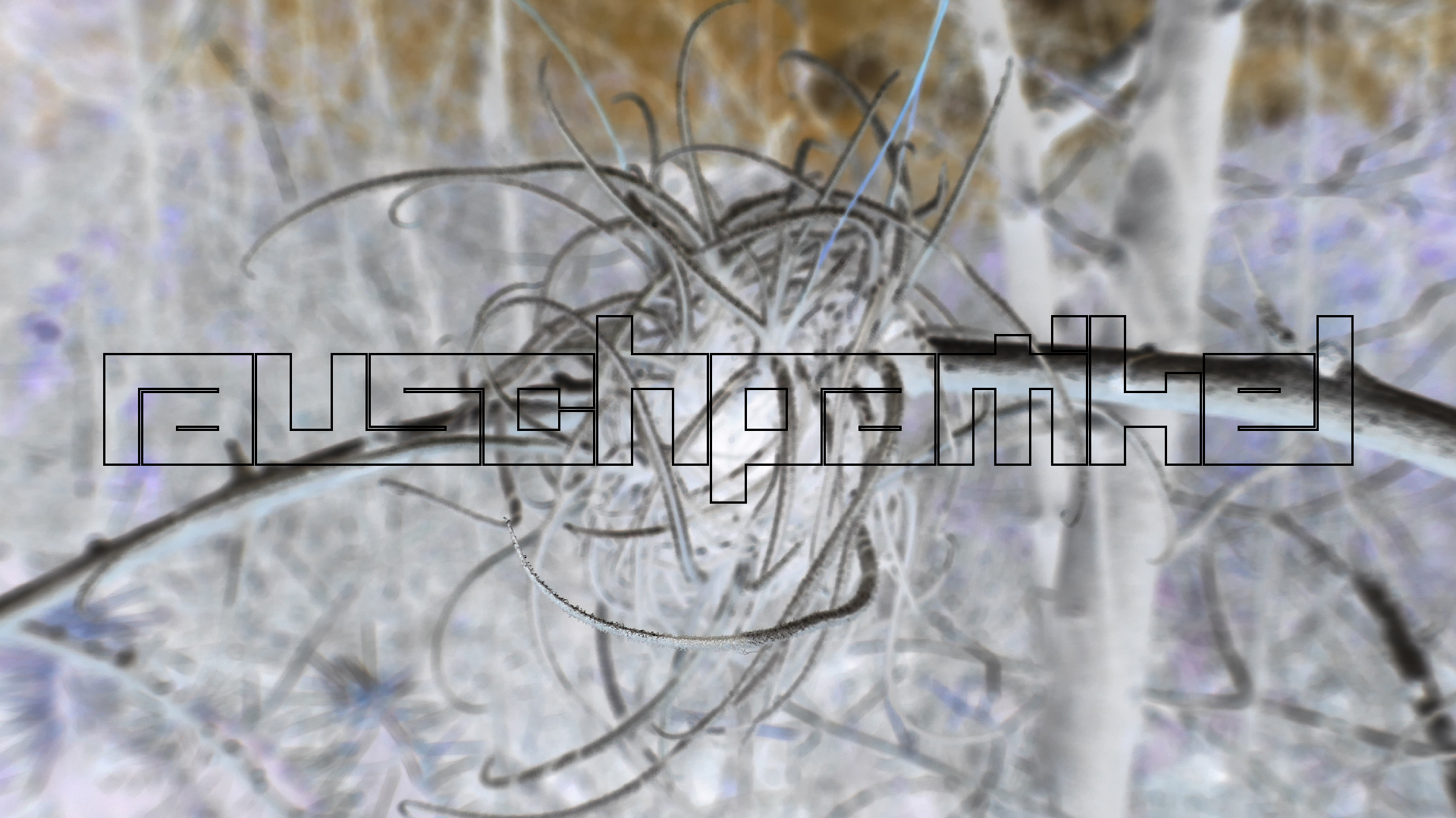 2022-04-22 Blaue Kammer (Foto)