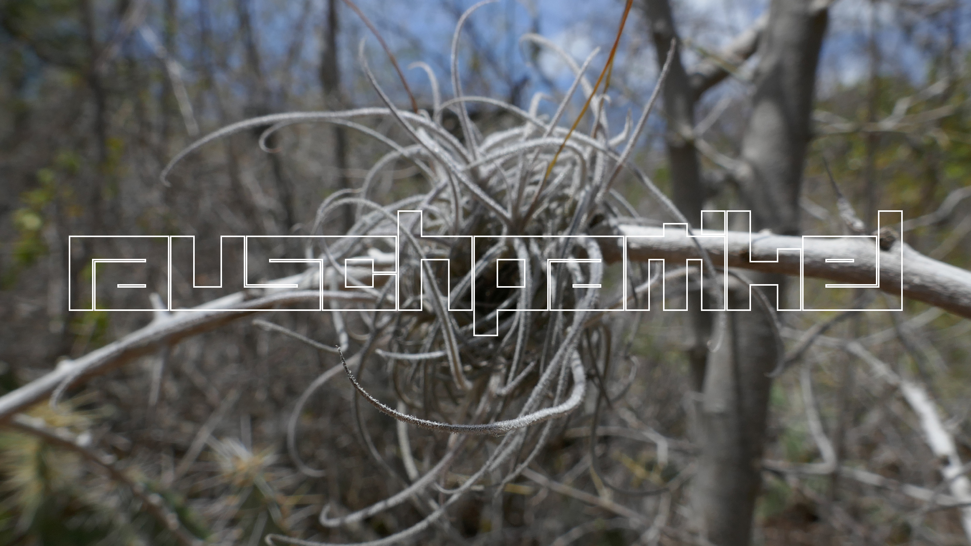 2022-04-22 Blaue Kammer (Foto)