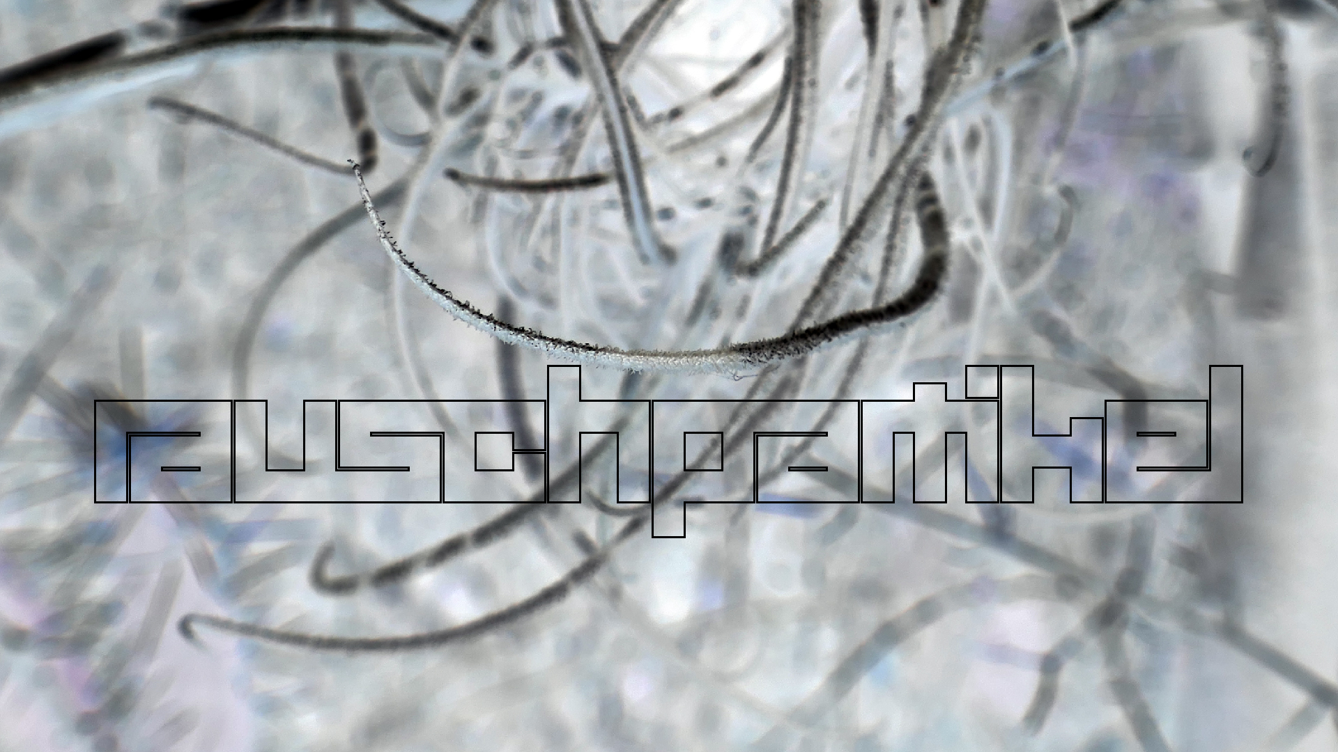 2022-04-22 Blaue Kammer (Foto)